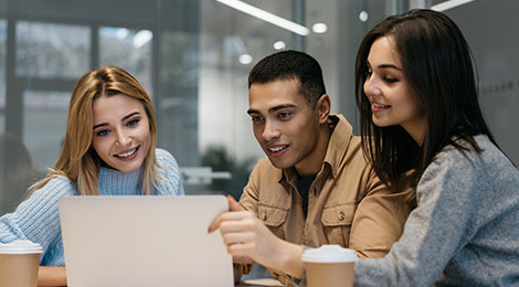 Website Development